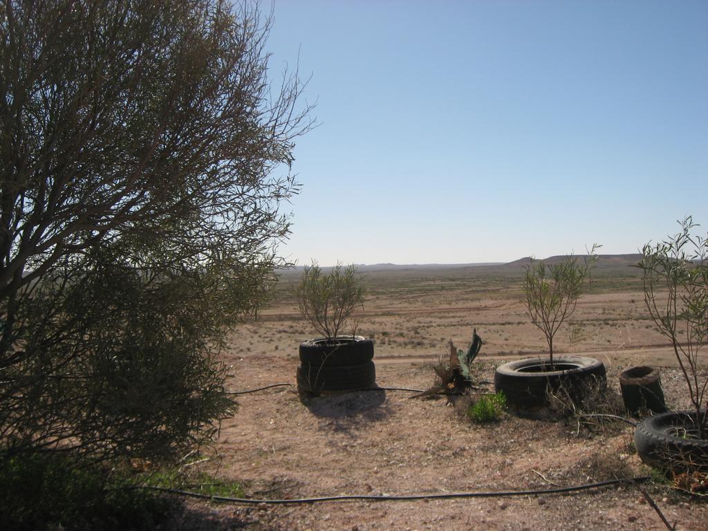 Venushill B+B Coober Pedy Kültér fotó